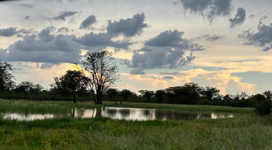 Waterhole Tour with Bush Walks