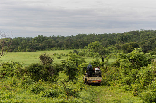Game Drives