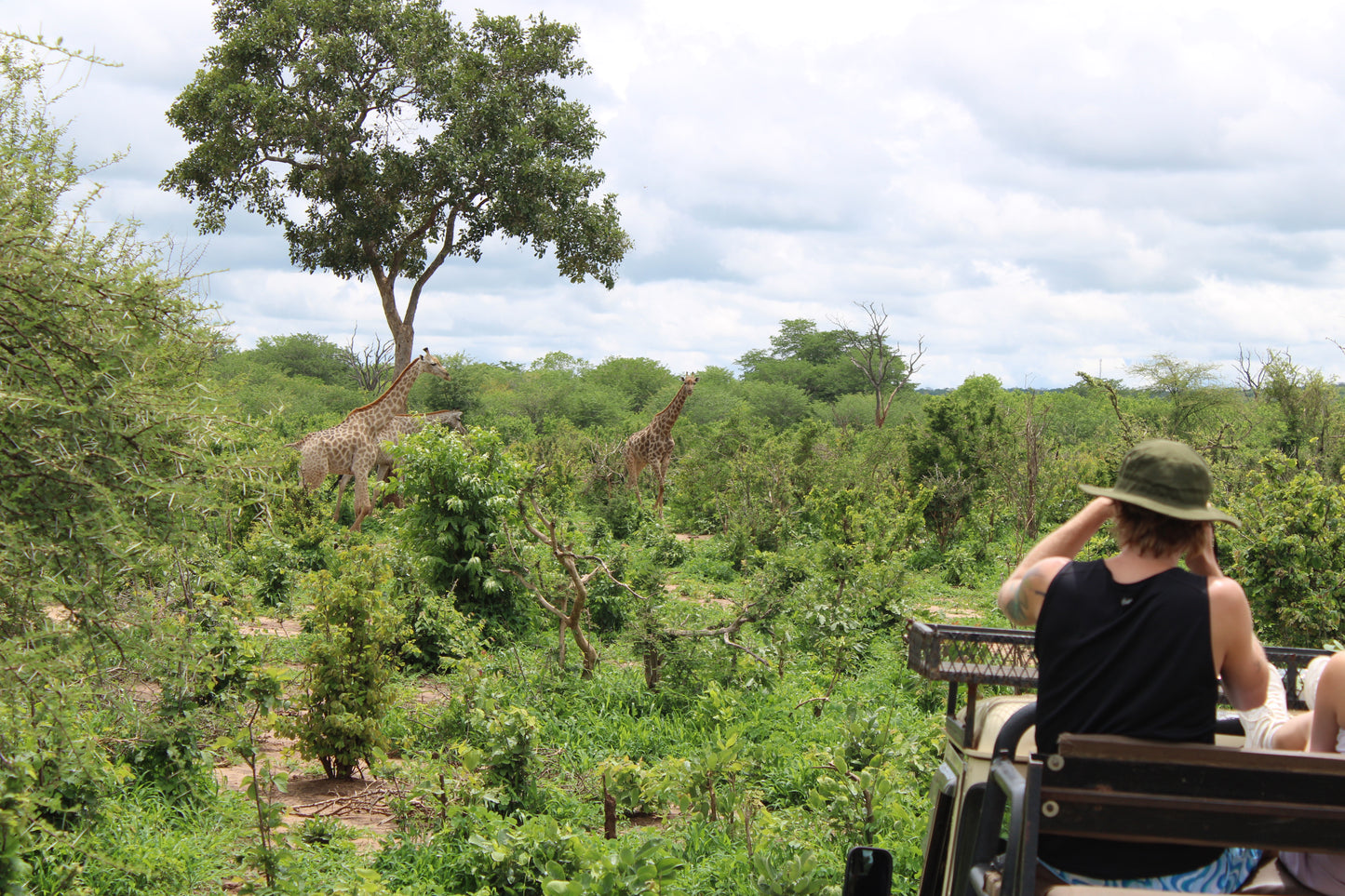 Guided Game Drive