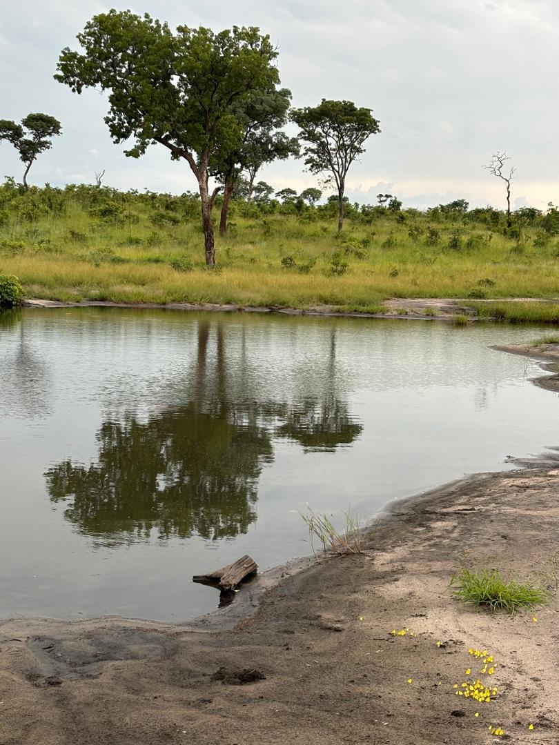 Waterhole Tour with Bush Walks
