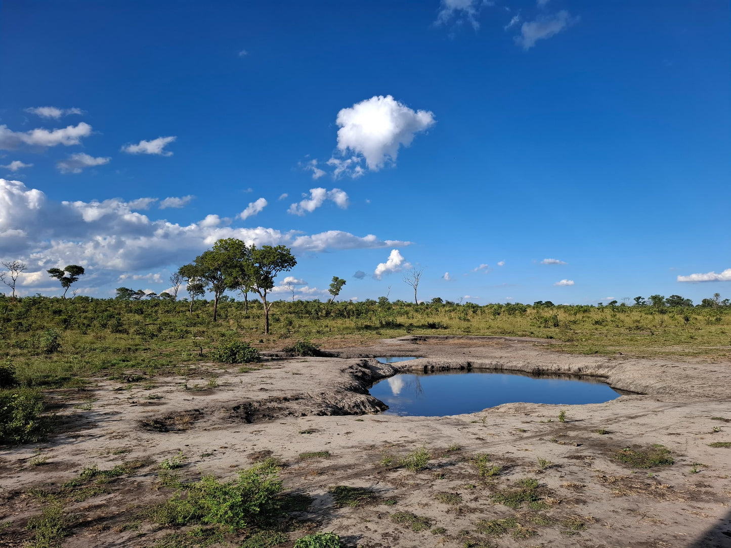 Waterhole Tour with Bush Walks