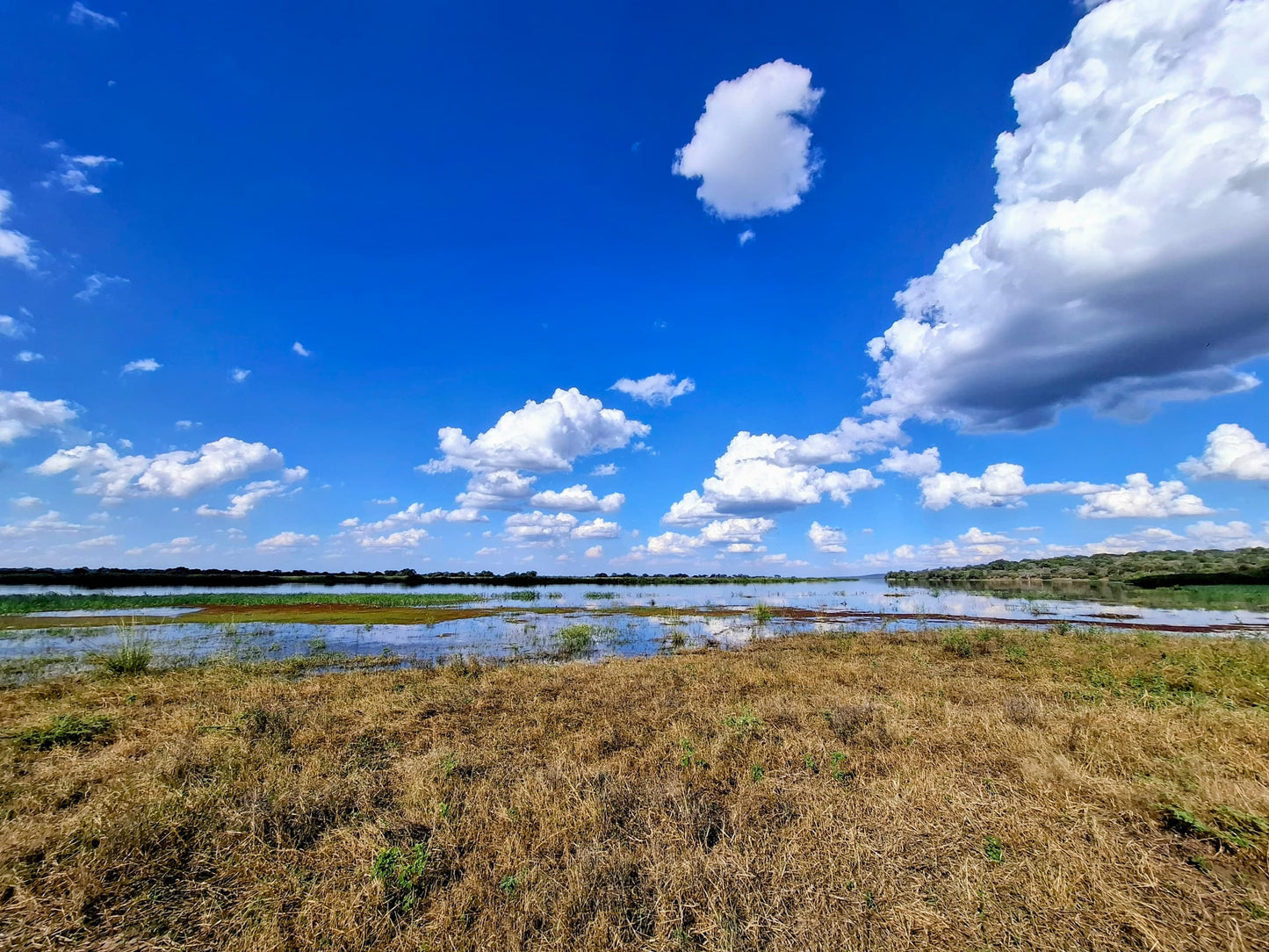 Waterhole Tour with Bush Walks