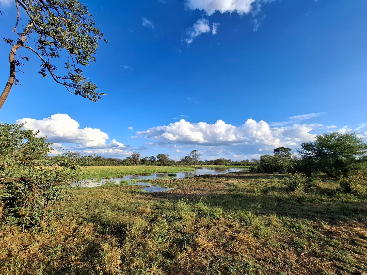 Waterhole Tour with Bush Walks
