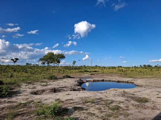 Waterhole Tour with Bush Walks