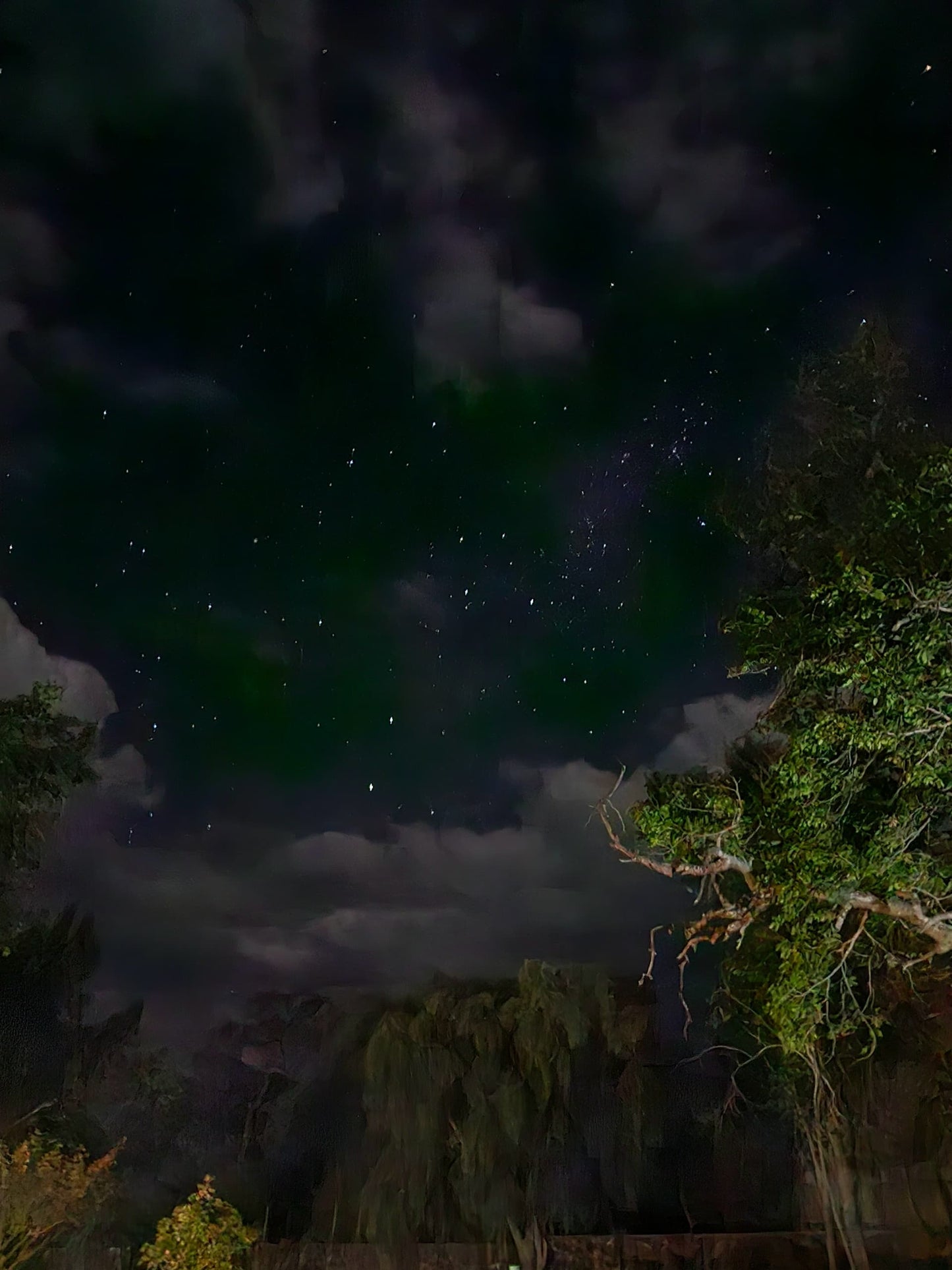 Star Gazing